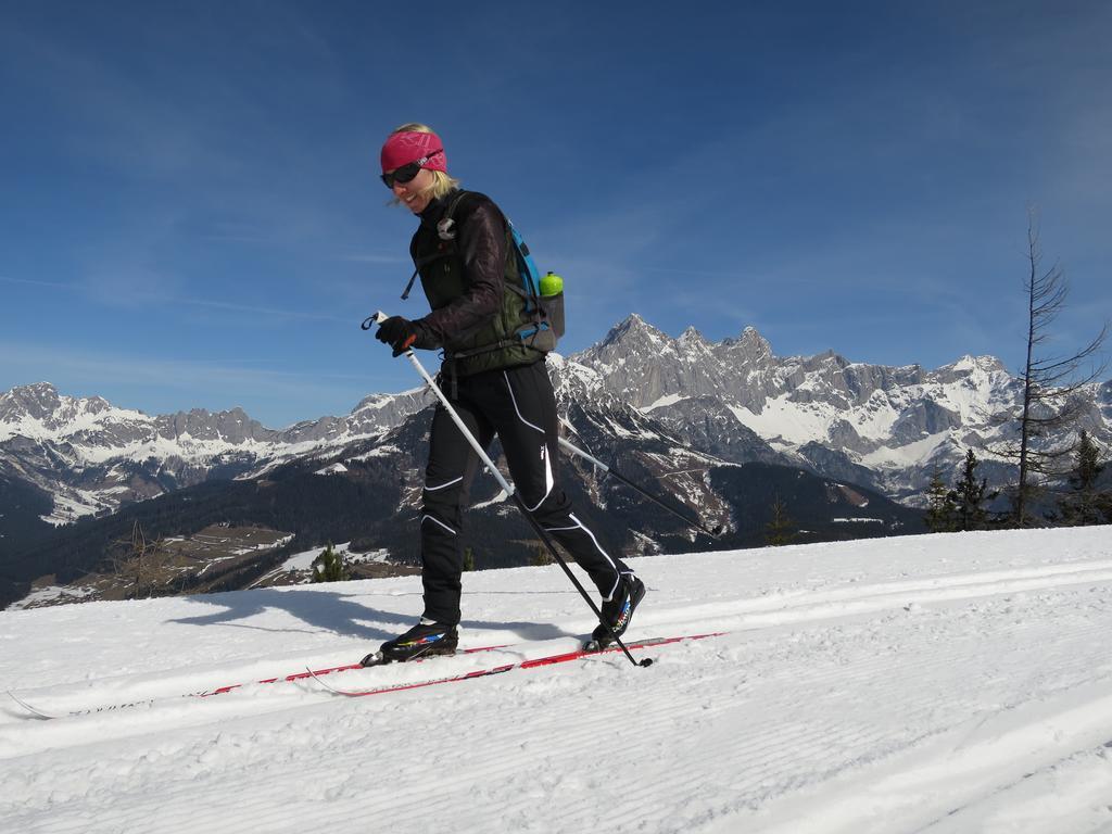 Austrian Alpine Apartments Ramsau am Dachstein Luaran gambar